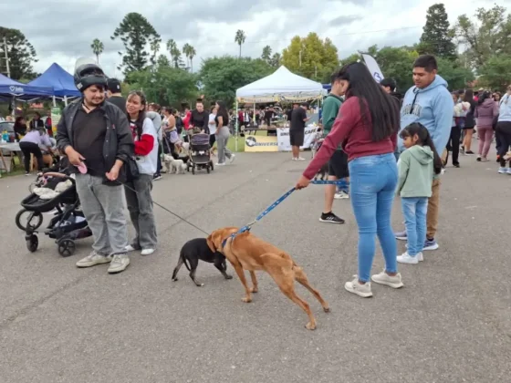 Hoy habrá una nueva jornada de adopción y tenencia responsable de animales
