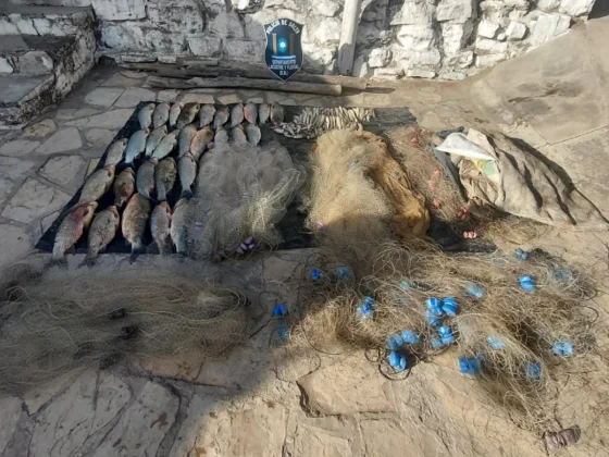 Secuestraron más de 130 peces y redes durante un operativo por pesca ilegal en Coronel Moldes
