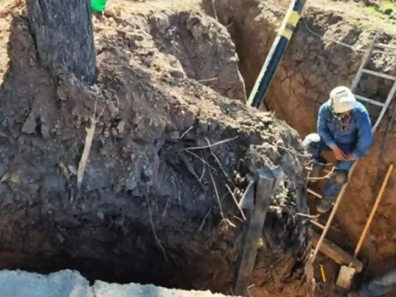 Destrozos en Av. Perón: la empresa deberá hacerse cargo de resarcir el daño ambiental