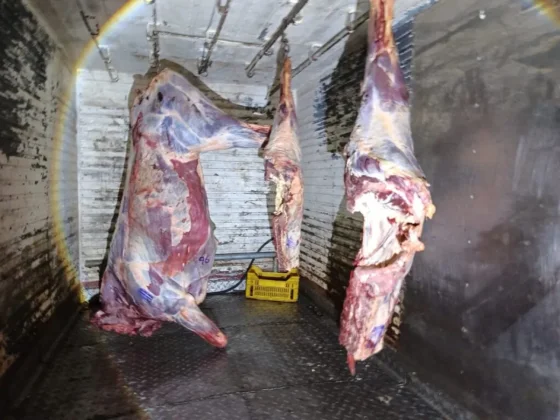 Pichanal: secuestraron 280 kilos de carne vacuna en mal estado y demoraron a dos hombres jujeños