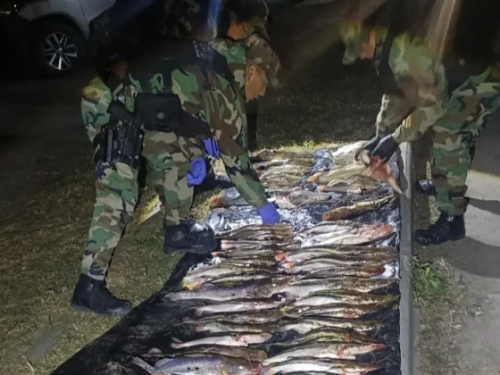 Pesca ilegal en Salta: secuestran una lancha, redes prohibidas y más de 60 peces en un operativo cerca de Aunor