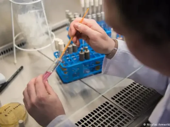Brasil aisló a dos pacientes con síntomas compatibles con ébola y crece la preocupación en Sudamérica