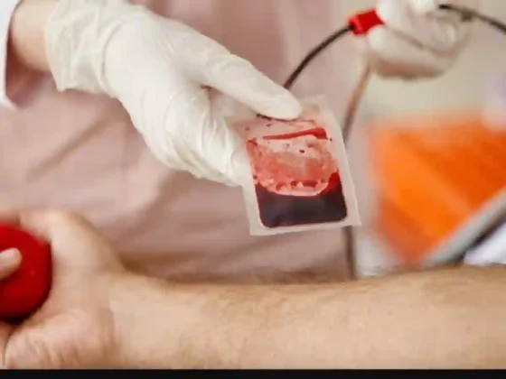La donación voluntaria de sangre salva millones de vidas en el mundo