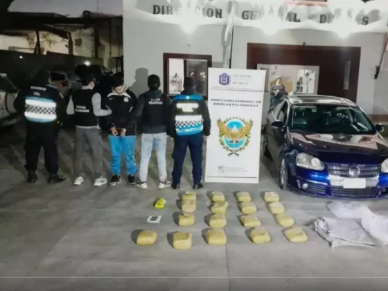 Golpe al narcotráfico en Salta con más de 200 kilos de droga incautados