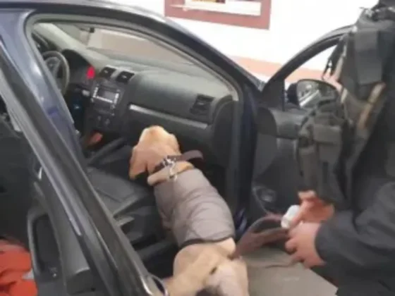 Salta: detuvieron a una pareja y secuestraron más de 200 kilos de droga en un operativo antidroga