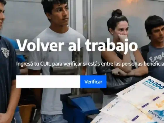Volver al Trabajo: desde este link, anotate a 4 cursos con alta demanda laboral