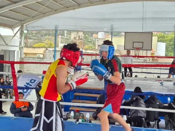 Torneo Municipal de Boxeo: con gran éxito se llevaron a cabo los octavos y cuartos de final