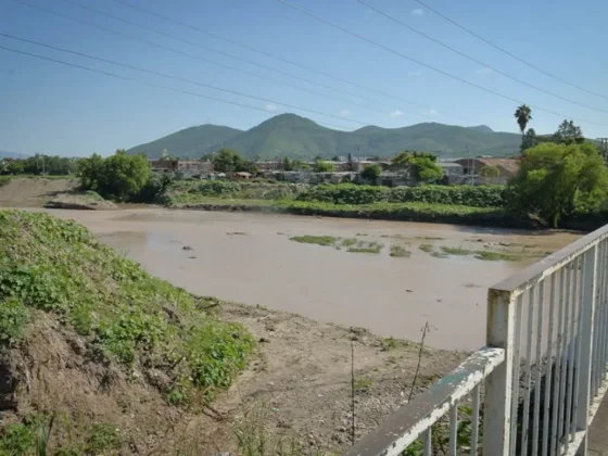Detectan leptospirosis en perros y refuerzan la vigilancia en el río Arenales