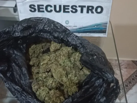 Golpe al narcomenudeo en Salta: secuestraron más de 200 mil dosis de droga y hubo detenidos en distintos barrios