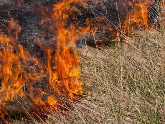 Dolor en Salta: Un hombre falleció atrapado por las llamas de un incendio forestal