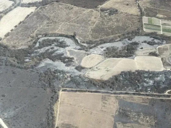 Defensa Civil mantiene el monitoreo tras los incendios y descarta nuevos focos en la ciudad