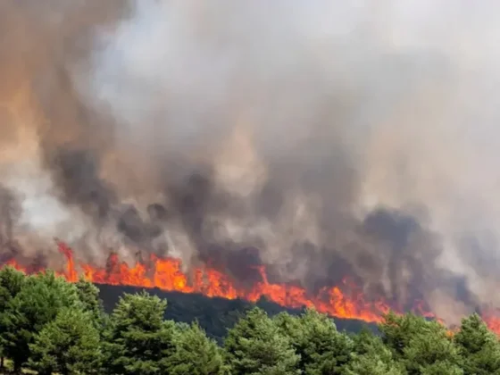 Un incendio forestal obligó a evacuar a más de 1000 personas en las afueras de Madrid