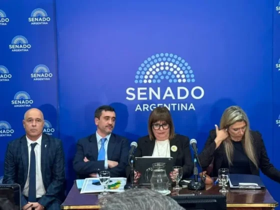 Bullrich acordó un límite del 25% para tierras extranjeras y busca apoyo en el Senado