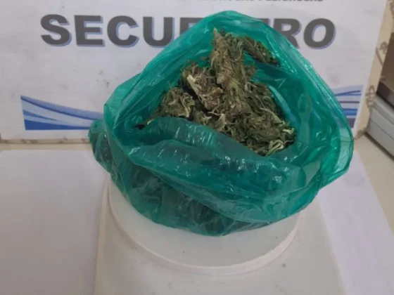 Detuvieron a una mujer con más de 260 dosis de marihuana durante un patrullaje en barrio San Calixto