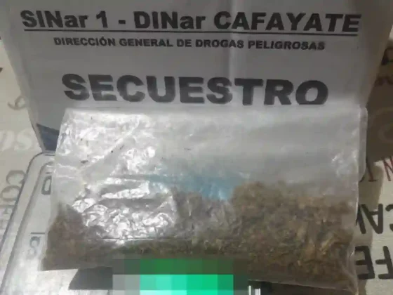 Cafayate: demoraron a un hombre con más de 36 dosis de marihuana cerca de la plaza 20 de Febrero