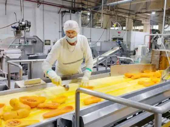 Unilever oficializó el cierre de su planta de vegetales deshidratados y el despido de 60 operarios