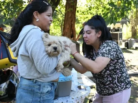 Conocé el cronograma de vacunación antirrábica de la próxima semana