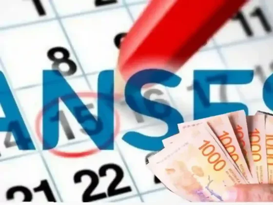 ANSES: quiénes cobran jubilaciones, AUH y asignaciones este viernes 14 de agosto
