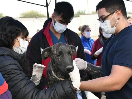 Se brindará una charla informativa sobre Leptospirosis en el CIC Solidaridad
