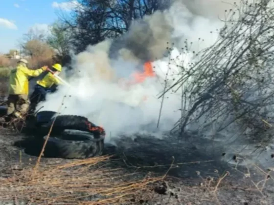 Controlaron un incendio de pastizales en la Ruta Provincial 24
