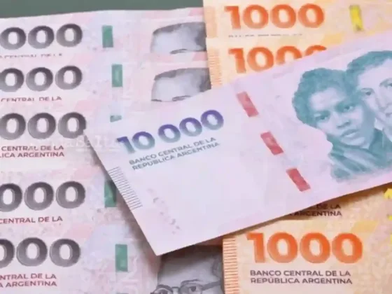 ANSES: quiénes cobran jubilaciones, AUH y asignaciones este jueves 20 de agosto
