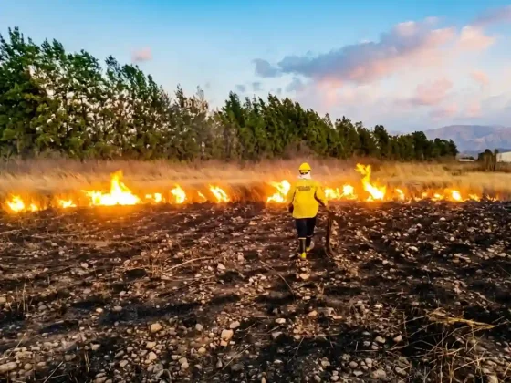 Peligro extremo en Salta: Riesgo "muy alto" de incendios forestales por el clima