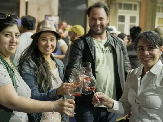 Con gran convocatoria, concluyó la Masterclass sobre la Ruta del Vino de Altura