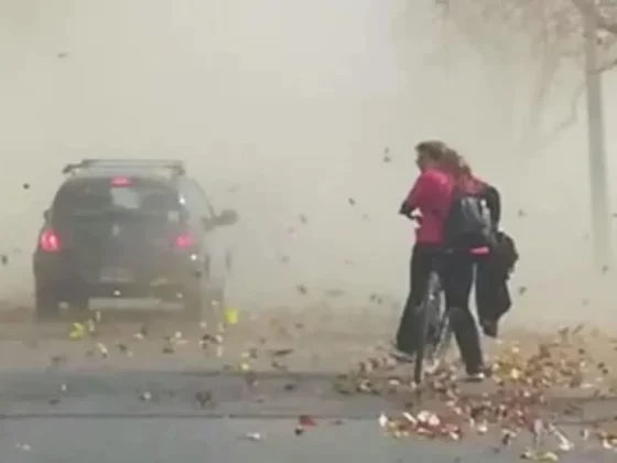 Alerta amarilla por viento zonda en los Valles y zona cordillerana