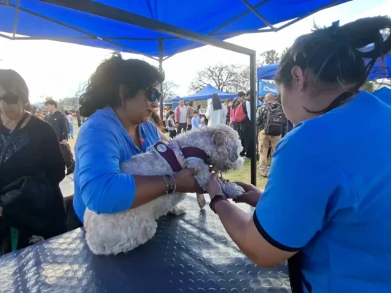 “La Muni Animal” acercó servicios y promovió la adopción responsable en Tres Cerritos