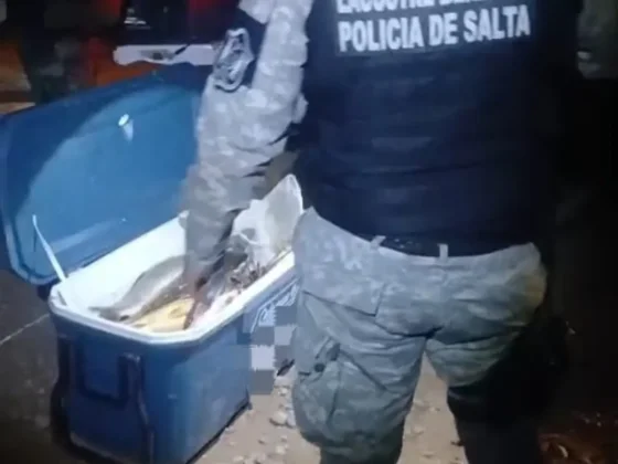 Pichanal: lo sorprendieron con 16 peces y una red y fue infraccionado por pesca ilegal