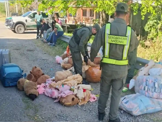 Salió de Salta con carpinchos de peluche rellenos de faso y fafafa