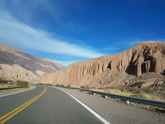 Alerta en las rutas de Salta por barro, agua y animales