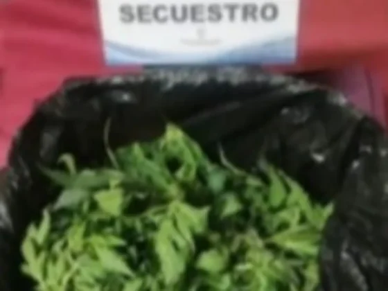 Detuvieron a un adolescente con más de 600 dosis de marihuana en El Encón