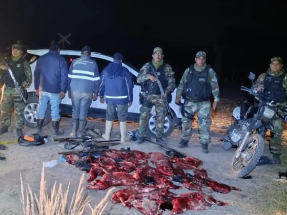 Siete armas y ocho pecaríes: detuvieron a tres hombres por caza ilegal en Cabeza de Buey