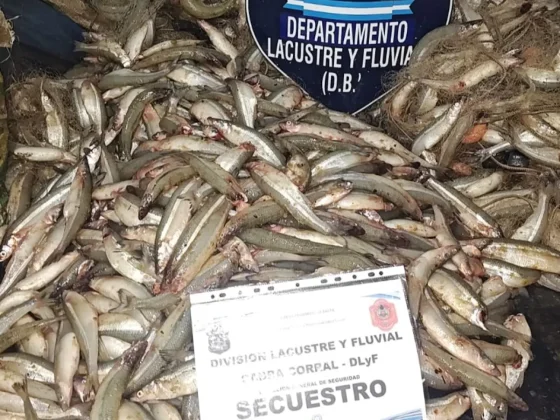 Pesca furtiva en Salta: secuestraron más de 1500 pejerreyes y detuvieron a tres hombres