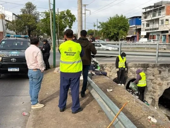 Más orden en la ciudad: la Municipalidad continúa limpiando y despejando canales