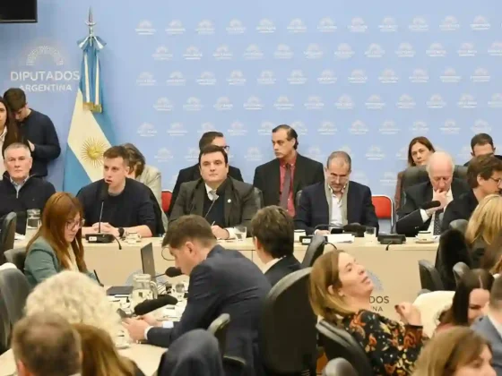 Debate por discapacidad: el oficialismo logró dictamen en Diputados pese al rechazo de la oposición