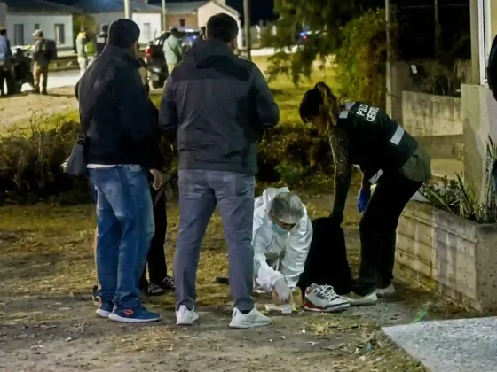 Imagen gentileza de Pablo Yapura