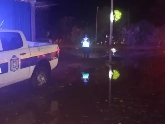 Temporal en Salta: despliegan un operativo de emergencia por anegamientos, caída de árboles y daños en viviendas