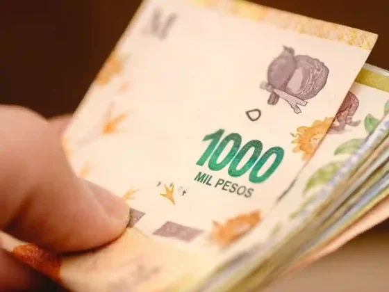 De $78.000 a $190.000: qué programas de Capital Humano entregan ayuda económica