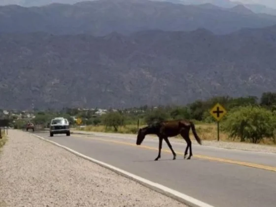 Alertan por desvíos y calzadas dañadas en varias rutas