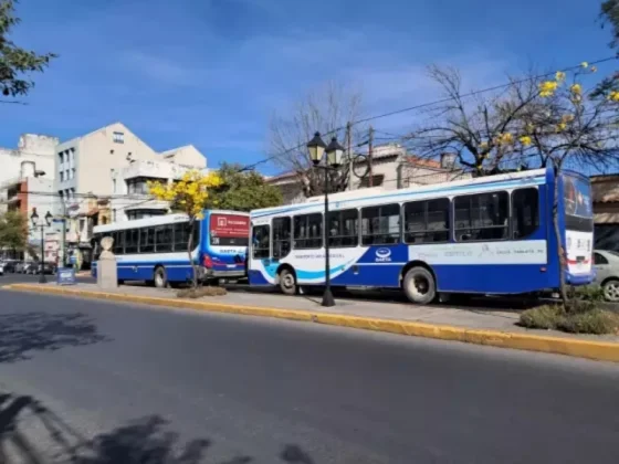 Así es el servicio de colectivos para el feriado de hoy