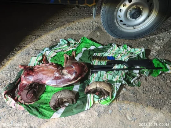 Secuestraron cinco armas de fuego y hallaron animales silvestres muertos durante operativos
