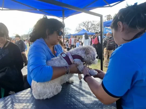 Este viernes 23 habrá una nueva edición de La Muni Animal