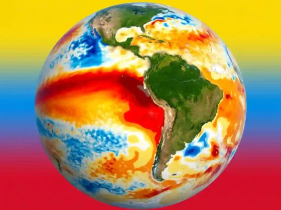 El océano Pacífico cambia de color: el impacto invisible de El Niño en la vida marina