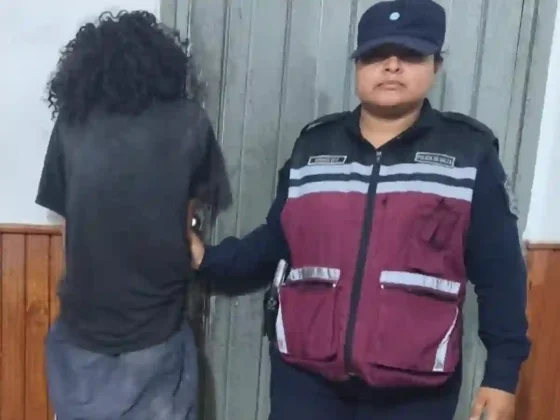 Detuvieron a una mujer de 24 años por el robo de cables de una vivienda