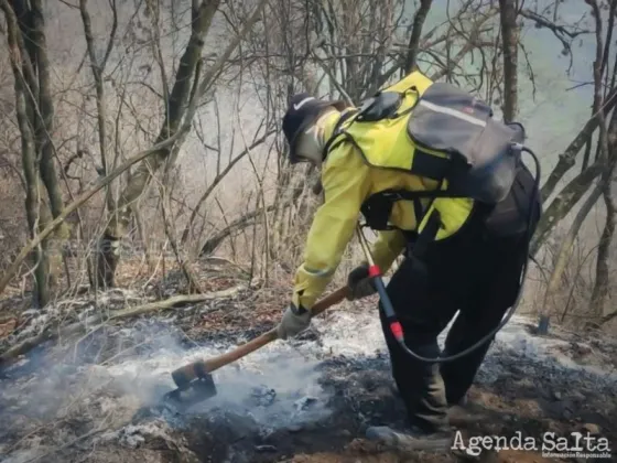 Investigan si encendieron de manera intencional un feroz incendio