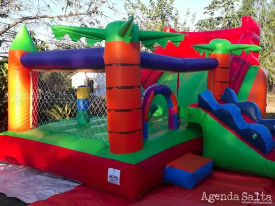 El inflable perdió estabilidad durante un temporal de viento. Aun no se explicó esta situación.