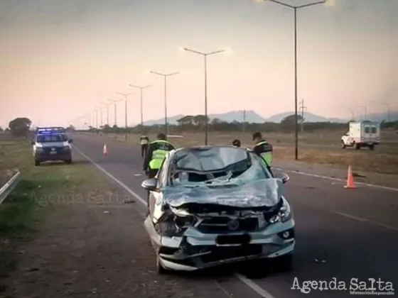 Salteño impacto su auto contra un caballo suelto en la circunvalación