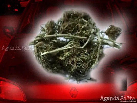 Los agentes policiales se dieron con un frasco lleno de flores de cannabis sativa